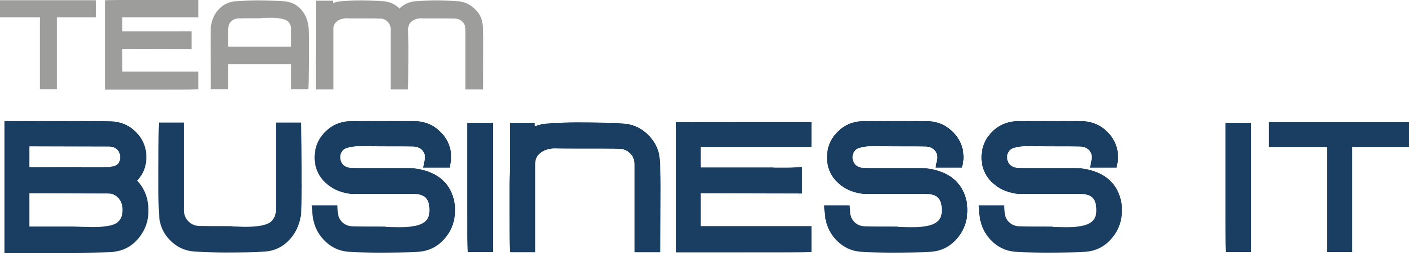 Team Business IT GmbH Logo